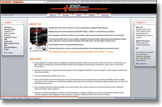 Old EMC Consultants Website