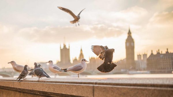 Embankment in London UK