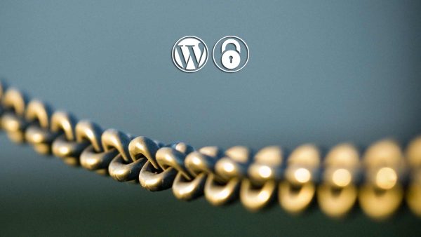 Wordpress Security & Maintenance Update