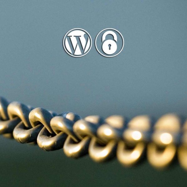 Wordpress Security & Maintenance Update